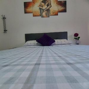 ViveLaVida Rooms